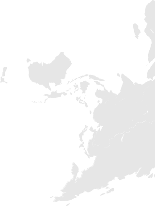 Domestic tours accent shape